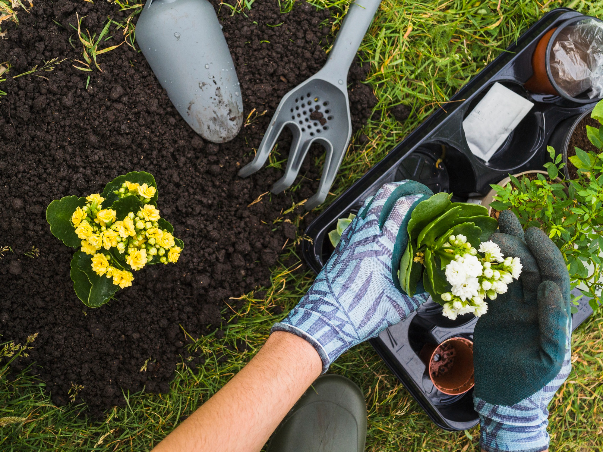 Création et entretien de jardin pour particuliers