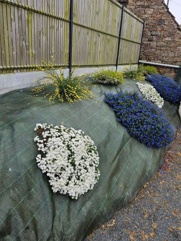 Les Jardins du Trégor Les Jardins du Trégor