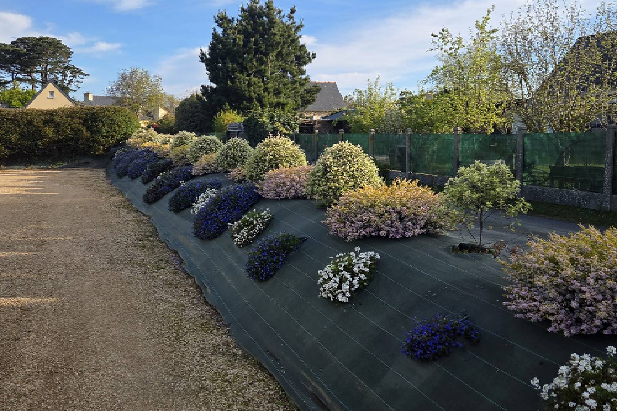 Parterre fleurs